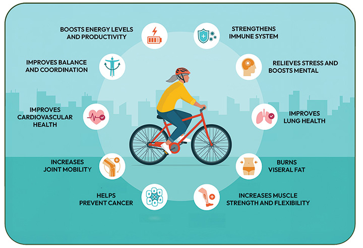 Comprehensive diagram showing health benefits of cycling for seniors including cardiovascular, mental, and social benefits